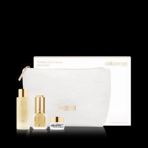 The Masters of Glow Collection