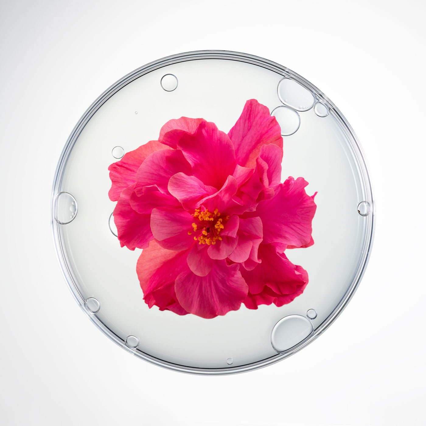 CellCollagen Visage et Cou